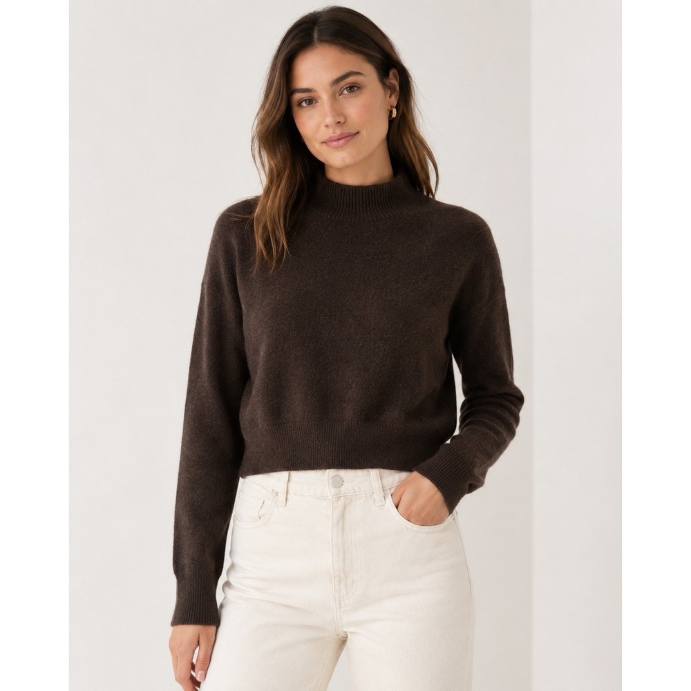 Everlane Cashmere Mock Neck Sweater Womens XS Brown Cropped Soft Luxe Minimalist